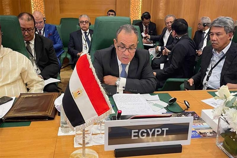 Egypt FM presents Arab plan for reconstructing Gaza to OIC FMs meeting