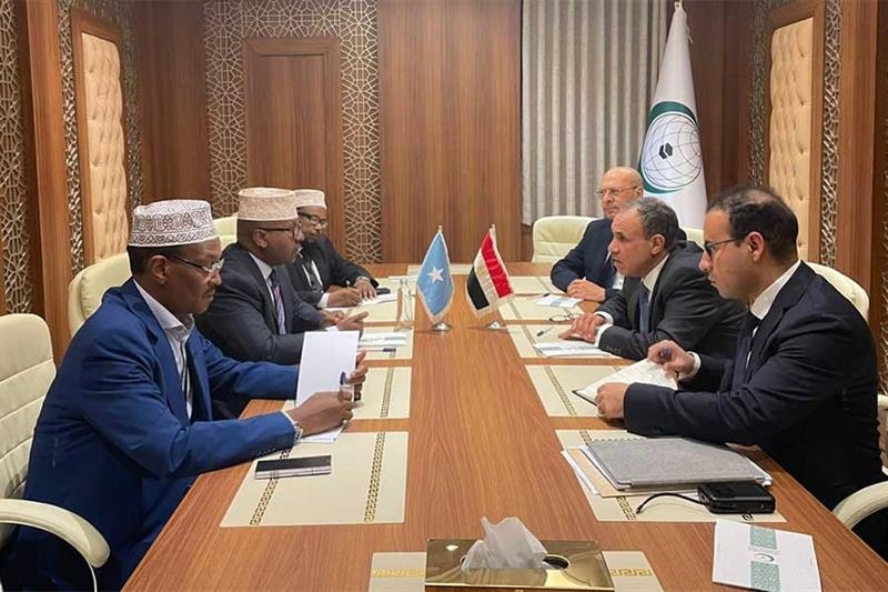 FM affirms Egypt keenness on supporting Somalia's stability, security - Foreign Affairs