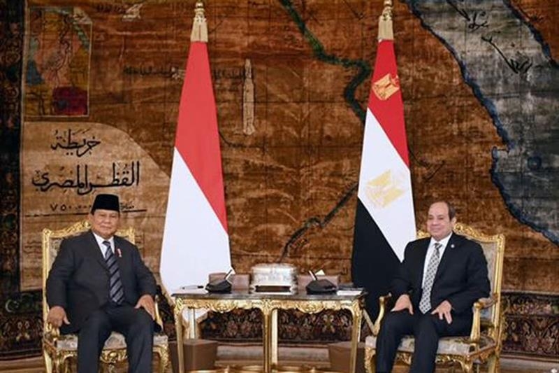 INTERVIEW: Egypt and Indonesia deepen strategic ties: Egypt Ambassador to Indonesia - Foreign Affairs