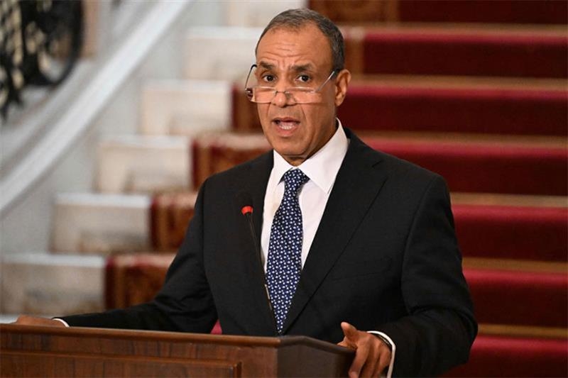 Egypt, Turkey, Greece FMs address Gaza humanitarian catastrophe - Foreign Affairs