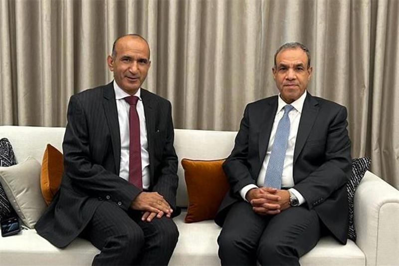 Egypt plays crucial role in pushing for Gaza war end ahead of Baghdad Summit: FM - Foreign Affairs