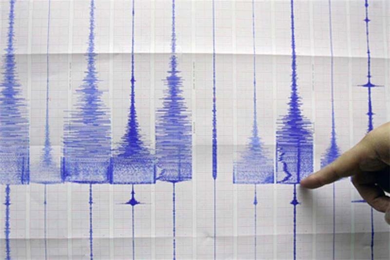 Magnitude 6.2 earthquake hits Egypt Thursday early morning - Society