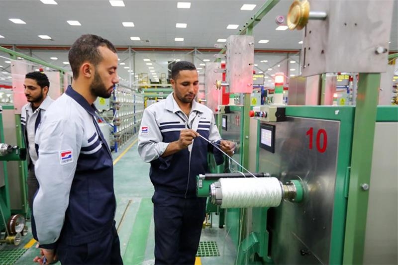 Opportunities for Chinese investments - Economy - Al-Ahram Weekly