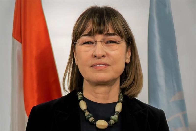 UN coordinator commends Egypt commitment to peace, peacekeeping services - Foreign Affairs