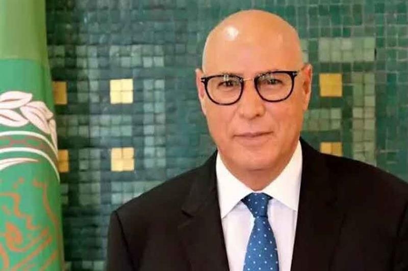Israel's war on Gaza has killed 209 Palestinian journalists: Ambassador Khattabi - Foreign Affairs