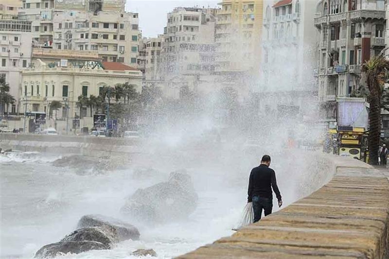 Severe weather batters Alexandria with heavy rain, strong winds - Society