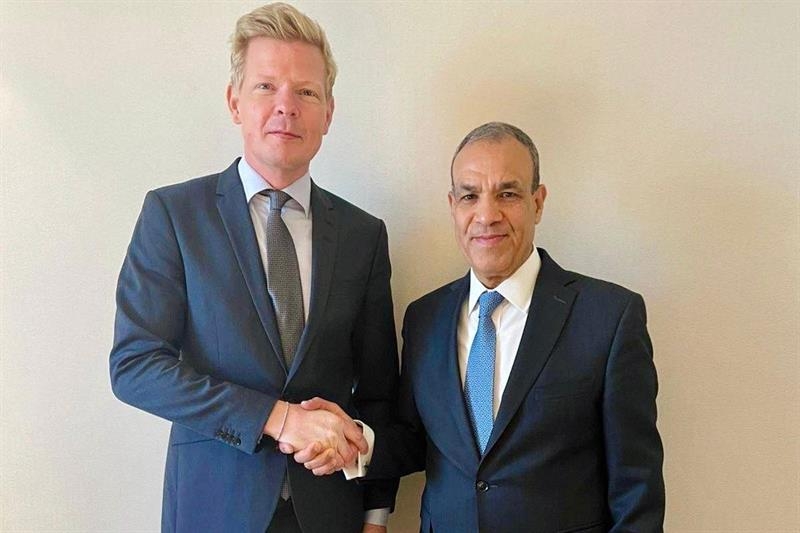 Yemen's stability key to regional security: Egypt FM to UN envoy - Foreign Affairs