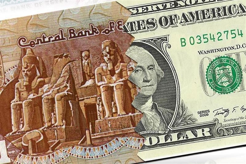 Egyptian pound faces short-term pressure but steadies by 2025-end: Fitch's BMI - Economy