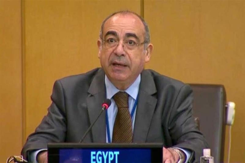 Egyptian diplomat Mohamed Idris appointed AU permanent observer to UN - Foreign Affairs