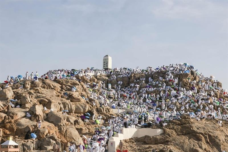 Muslim pilgrims pray at Mount Arafat in hajj apex - Region
