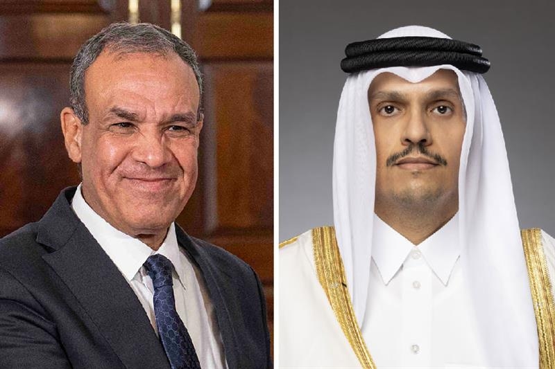 Egypt, Qatar FMs discuss efforts to resume Gaza ceasefire - Foreign Affairs