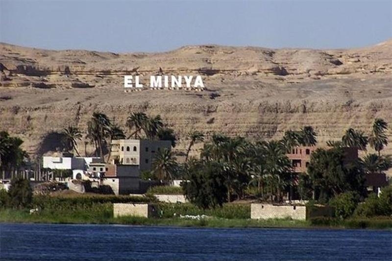 No evidence 4 siblings died of Meningitis in Minya: Health Ministry - Health