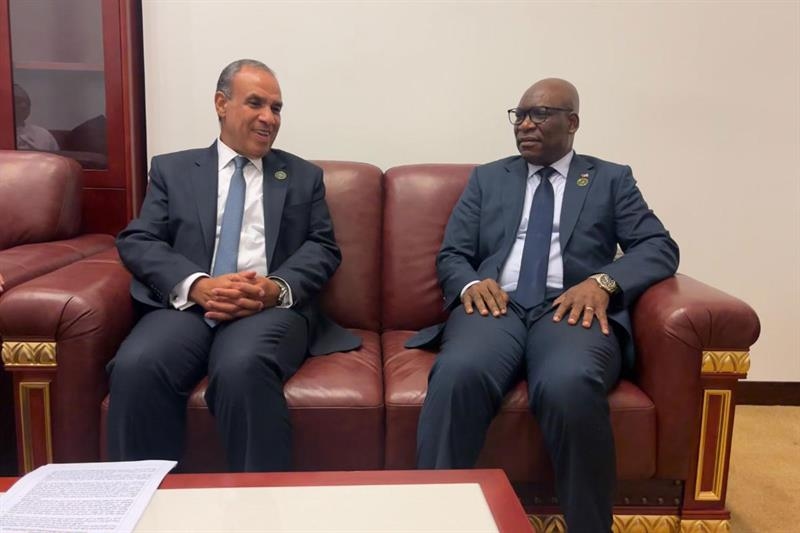 Egypt keen on cementing ties with continent: FM Abdelatty to African counterparts - Foreign Affairs