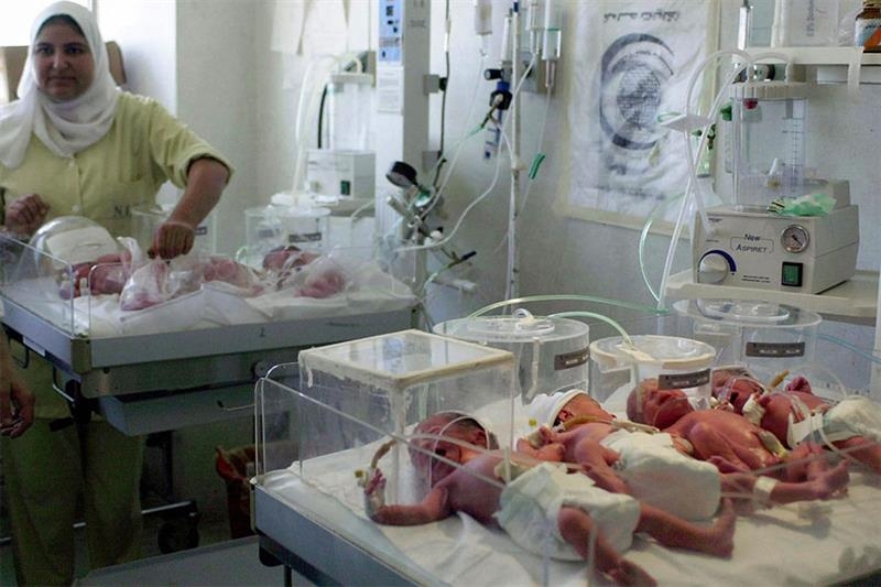 Egypt's fertility rate drops to 2.4 children per woman in 2024 - Health