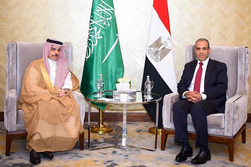 Egypt, Saudi foreign ministers praise ‘significant momentum' in ties - Foreign Affairs