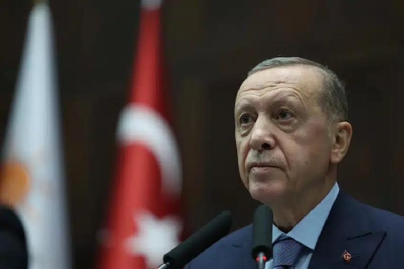 Turkey's Erdogan insists on Cyprus two-state solution - International