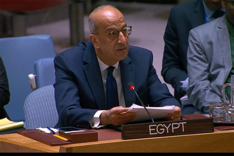 Israel violations across Mideast threaten regional and int'l security: Egypt UN envoy - Foreign Affairs