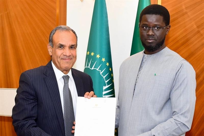 Senegal is Egypt strategic partner in West Africa: FM Abdelatty to President Faye - Foreign Affairs