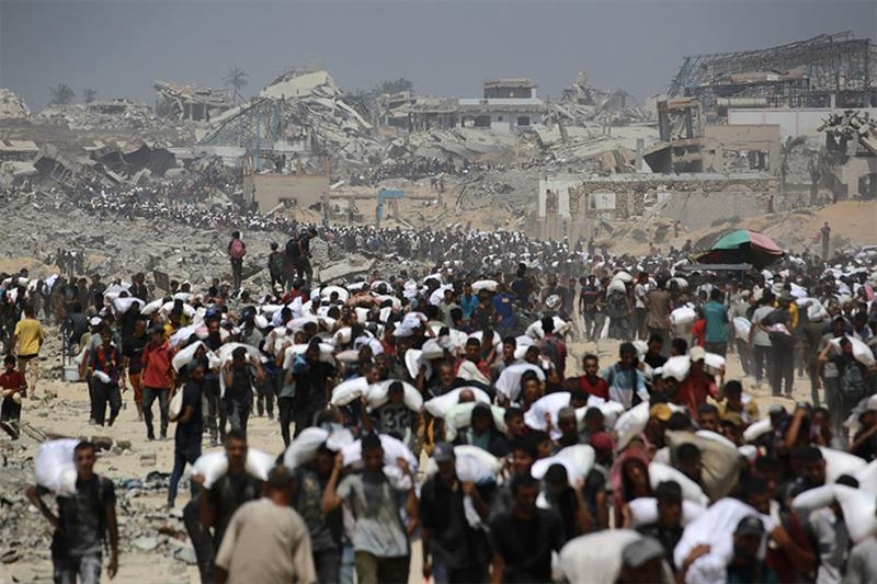 Al-Azhar sends new aid convoy to Gaza