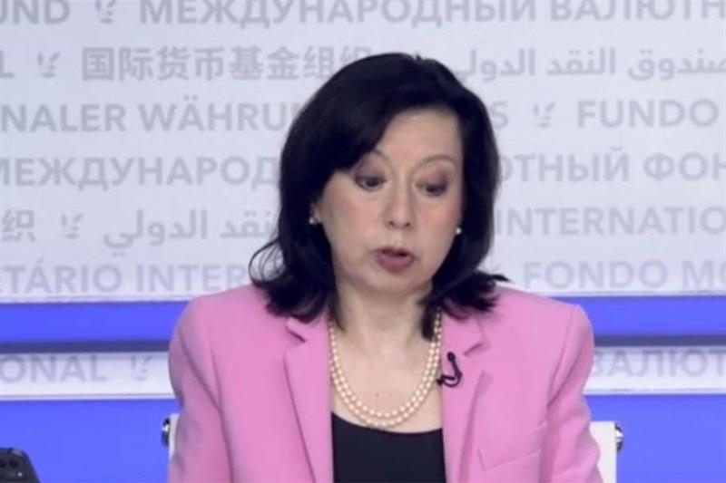 IMF to complete 5th, 6th reviews of Egypt loan programme in September - Economy