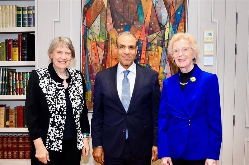 No regional stability without Palestinian state: Egypt FM to The Elders - Foreign Affairs