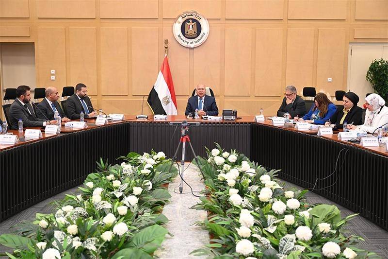Egypt develops national database to localize automotive industry - Economy