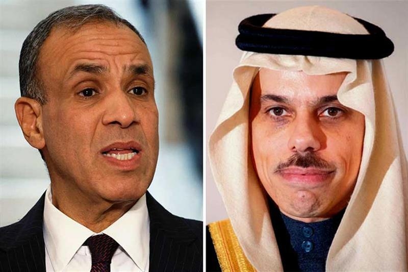 Egypt, Saudi Arabia reaffirm rejection of Israeli plan to occupy Gaza - Foreign Affairs