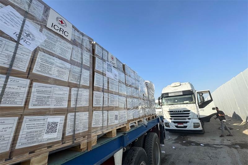 Egypt dispatches 14th aid convoy to Gaza as crisis deepens - Foreign Affairs