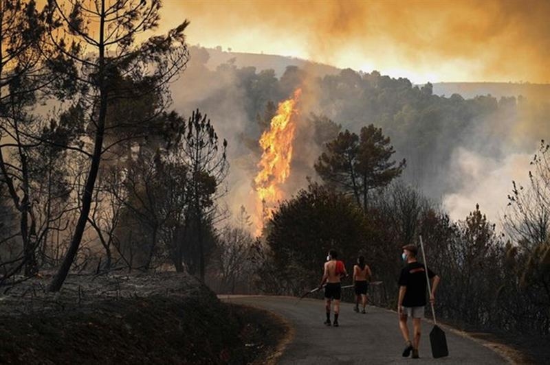 Third person killed in Spain wildfires: authorities - International