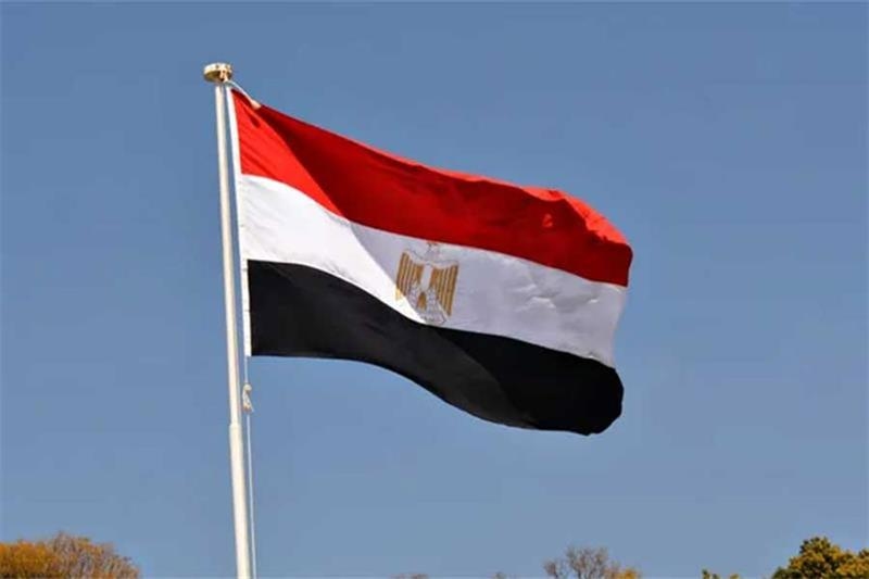 There is no Egyptian proposal to transfer Hamas weapons to Egypt: informed source - Foreign Affairs