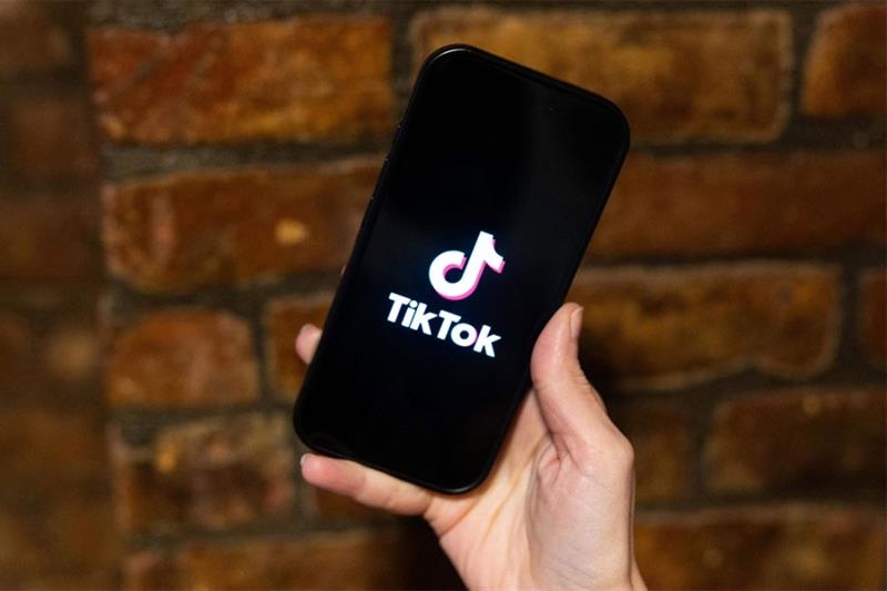 TikTok given three-month deadline to align with Egyptian content standards: MP - Society