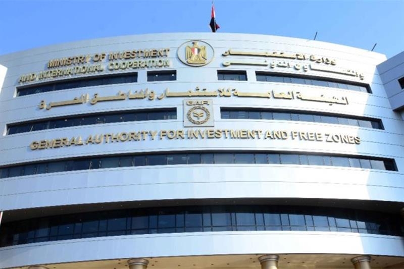 Nine Chinese, Turkish companies to invest $41.6 mln in Ismailia Free Zone - Economy