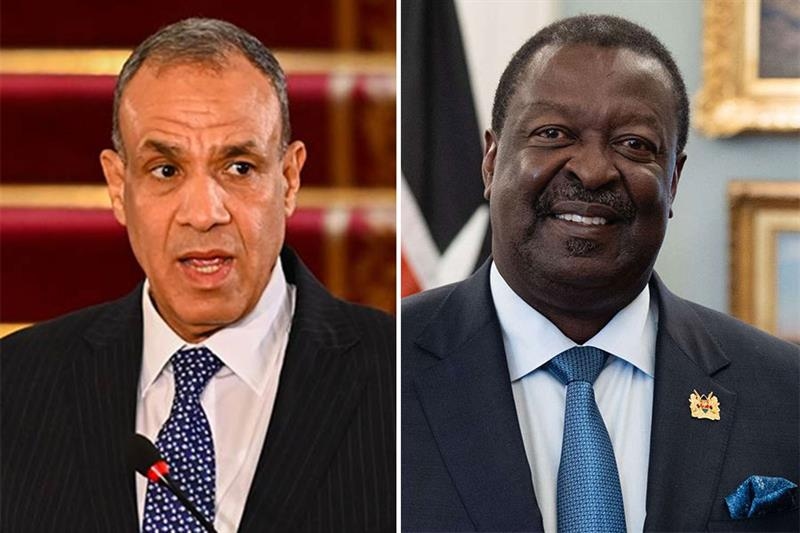 East Africa stability in focus during Egypt–Kenya foreign ministers call - Foreign Affairs