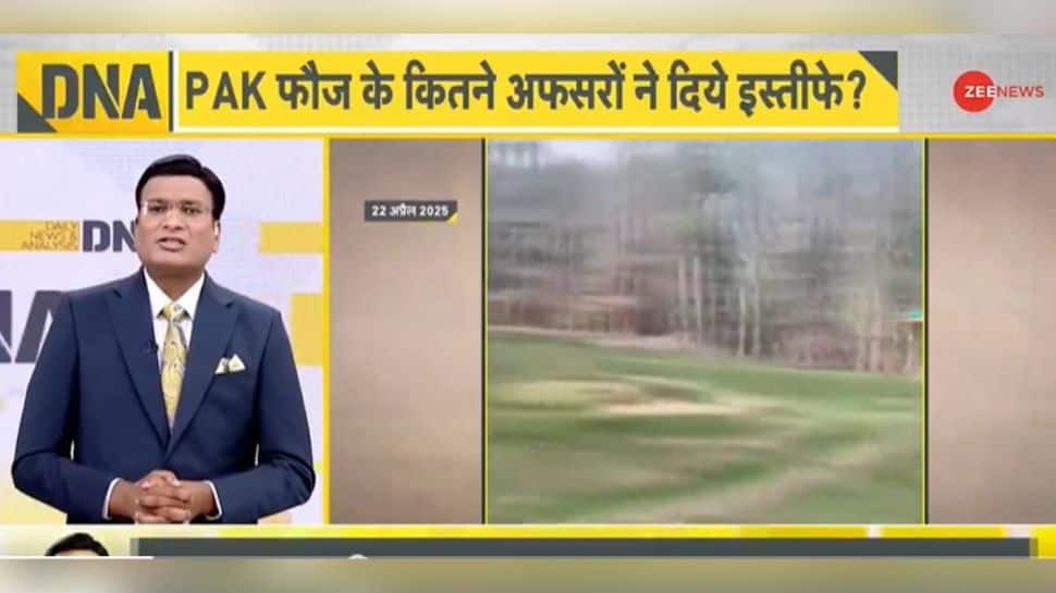 Kashmiri Muslims Condemn Pahalgam Attack, Vow To Reclaim PoK