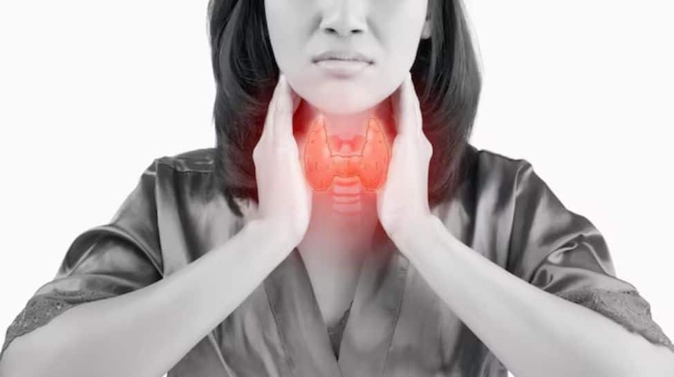 The Gut-Thyroid Connection: How IBS And Hypothyroidism Impact Metabolism