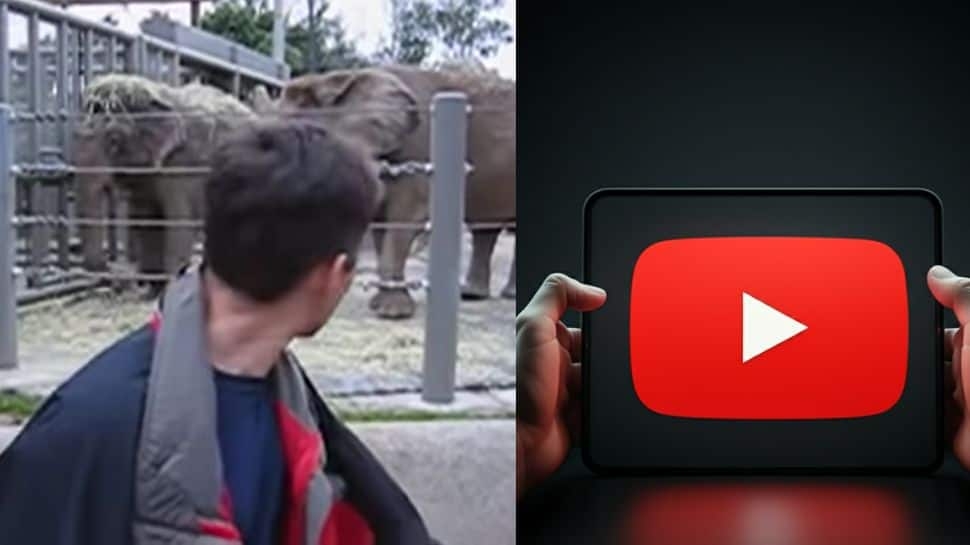 This Man Uploaded Youtube's First Ever Video 20 Years Ago, Has Over 350 Million Views, It All Began At A Zoo…
