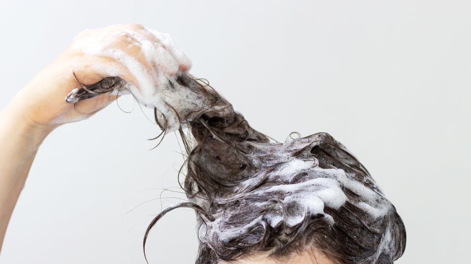 Clean Slate: The Best Shampoos for Every Hair Type