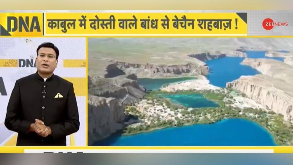 How India-Afghanistan Camaraderie Raises Concerns In Islamabad