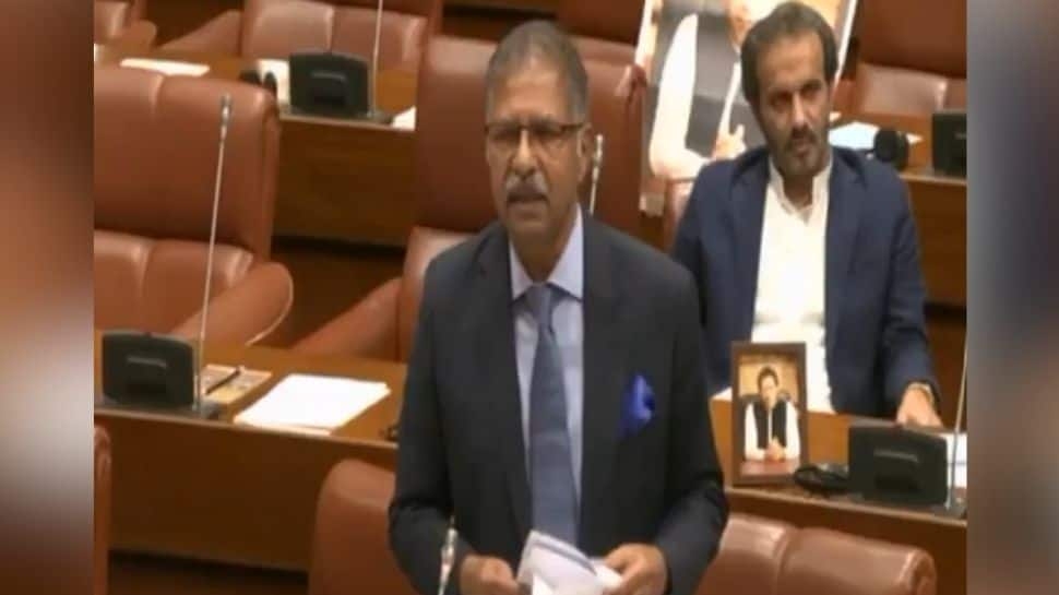 ‘Water Bomb': Pakistani Senator Highlights Impact Of India's Indus Treaty Suspension