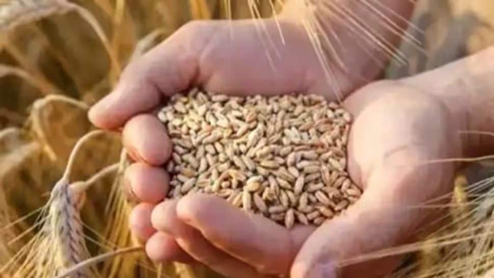 Centre Imposes Wheat Stock Limits On Traders To keep prices in check