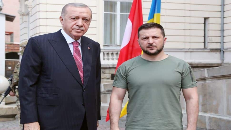 Turkey's Double Game Uncovered: How Ankara Betrayed Russia While Wooing The West