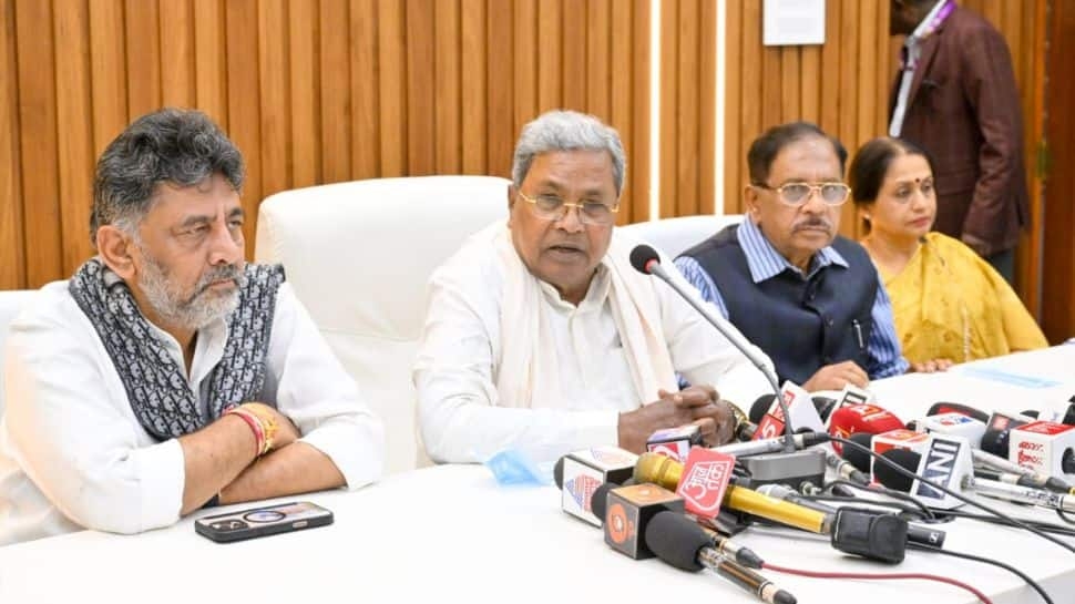 Karnataka Govt Orders Probe Into Chinnaswamy Stadium Stampede, Appoints Bengaluru Urban DC