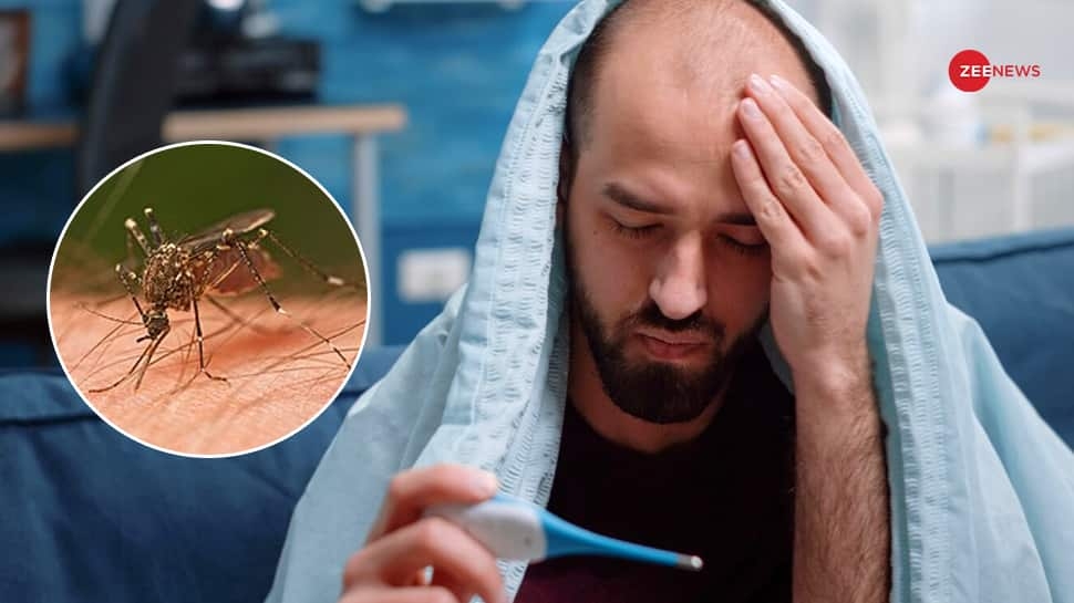 Monsoon 2025 Dengue Alert: How To Protect Yourself From Mosquito Bites And Stay Disease-Free