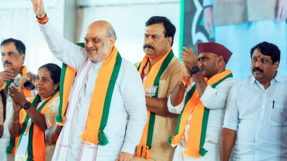 Amit Shah Pushes For Tamil In Medical And Engineering, Says 'Greatest Languages...'