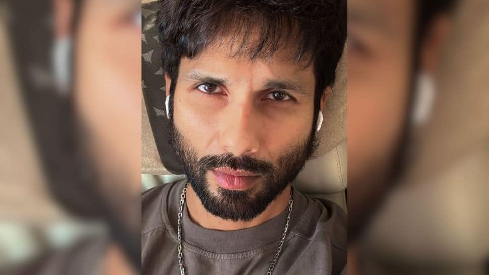 Shahid Kapoor Mischievously Labels Wife Mira, Brother Ishaan As ‘Fans'