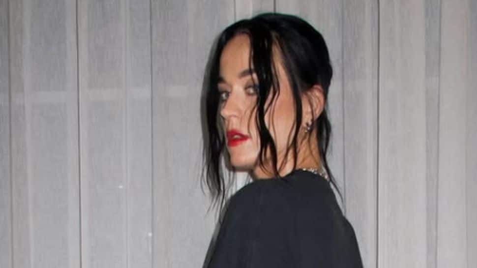 Katy Perry Entrapped By A Fan During Sydney Concert