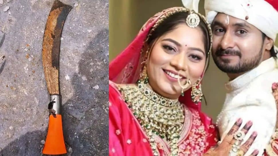 Meghalaya Honeymoon Murder Case: Raja Raghuvanshis Murder Weapon Found, New Video Surfaces