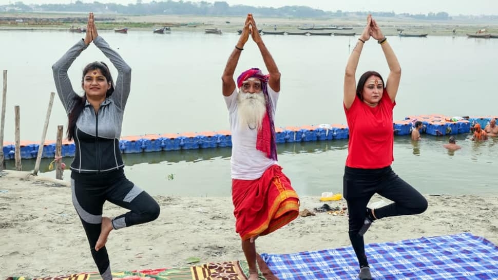 International Yoga Day 2025: Origin, Benefits, And Beginner's Guide To Embrace Yoga For A Healthier Life