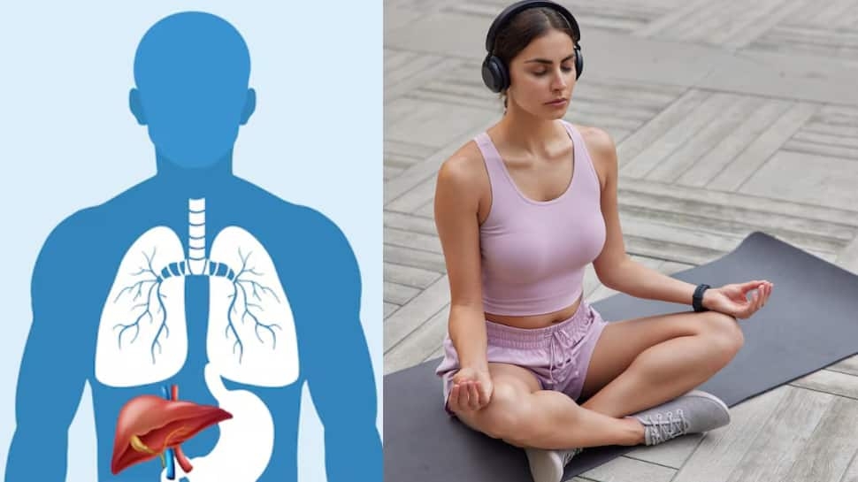 International Yoga Day 2025: Best Yoga Asanas To Reverse Fatty Liver And Fight Obesity Naturally
