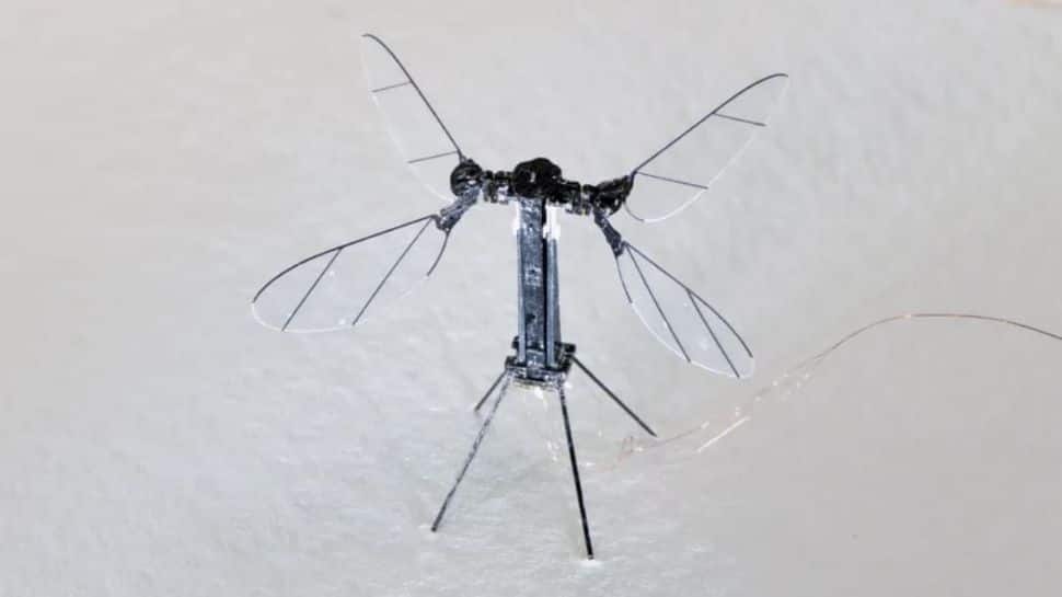 China Unveils ‘Mosquito Drone': A Silent Spy That Fits In Your Palm